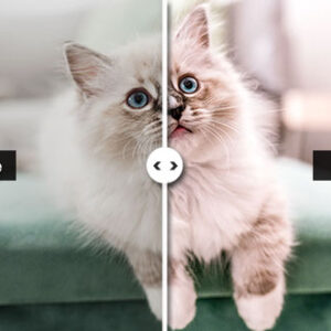 Preset Blue Eyes