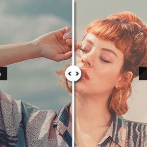 Preset Classy Portrait