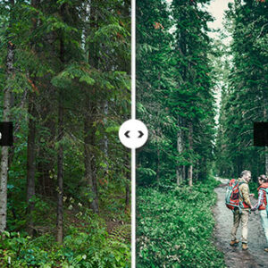 Preset Green Walk