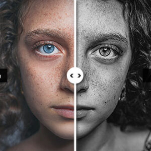 Preset Monochrome Portrait