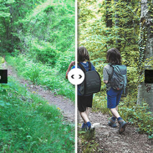 Preset Moss Path