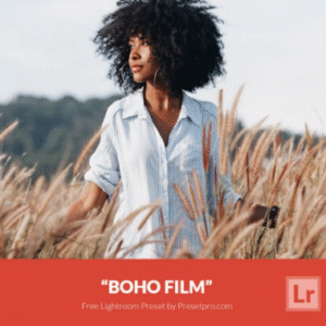 Download Preset Bohemian Film Gratis