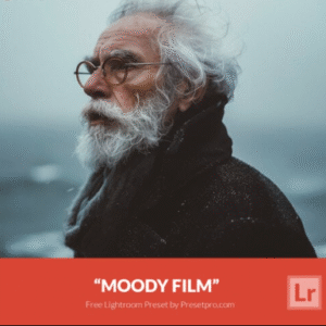 Download Preset Moody Film Gratis