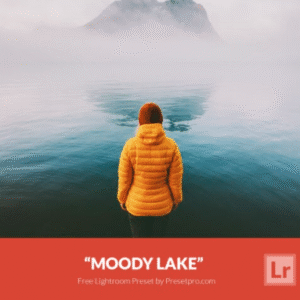 Download Preset Moody Lake Gratis