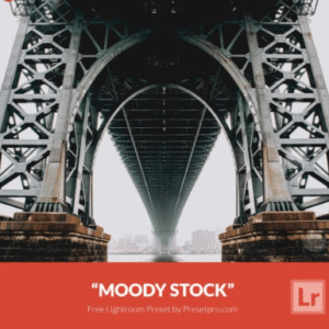 Download Preset Moody Stock Gratis