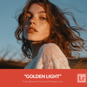 Download Preset Golden Light