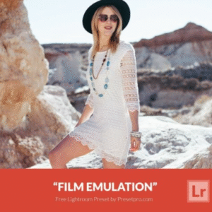 Download Preset Film Emulation