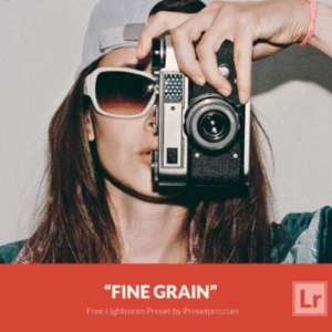 Download Preset Fine Grain