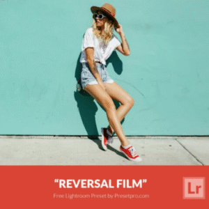 Download Preset Reversal Film Gratis