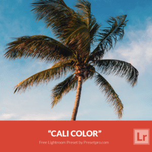 Download Preset Cali Color Gratis
