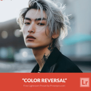 Download Preset Color Reversal Gratis