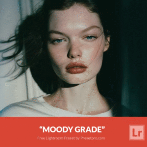 Download Preset Moody Grade Gratis