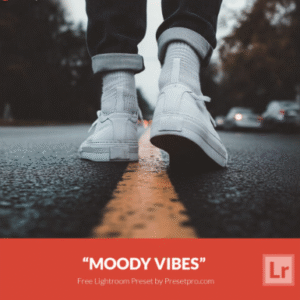 Download Preset Moody Vibes Gratis