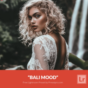 Download Preset Bali Mood Gratis