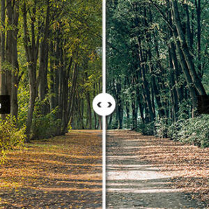 Preset The Path