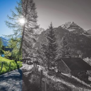 Preset Black White