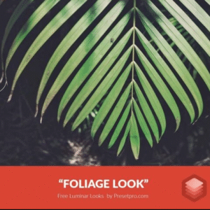 Download Preset Foliage Gratis