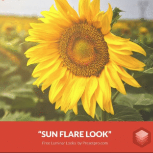 Download Preset Sun Flare Gratis
