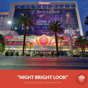Download Preset Night Bright Gratis