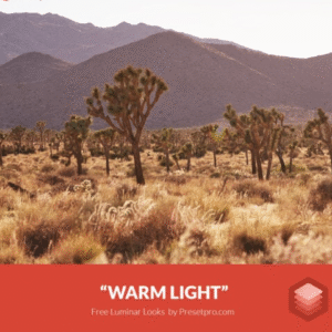Download Preset Film Warm Light Gratis