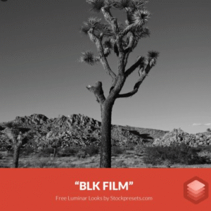 Download Preset BLK Film Gratis