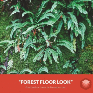 Download Preset Forest Floor Gratis