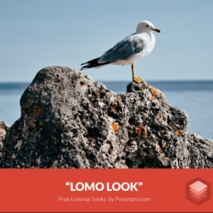 Download Preset Look Lomo Gratis