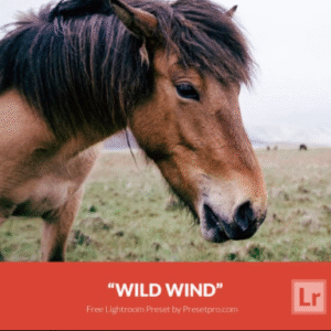 Download Preset Wild Wind Gratis