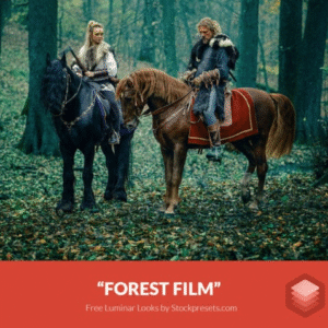 Download Preset Forest Film Gratis