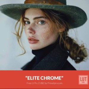 Download Preset Elite Chrome Lookup Table Gratis