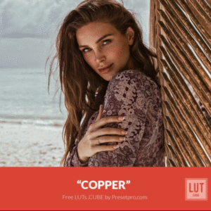 Download Preset LUT Copper Gratis