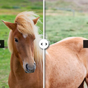 Preset Wild Look